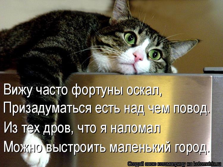 :    ,     .   ,       .