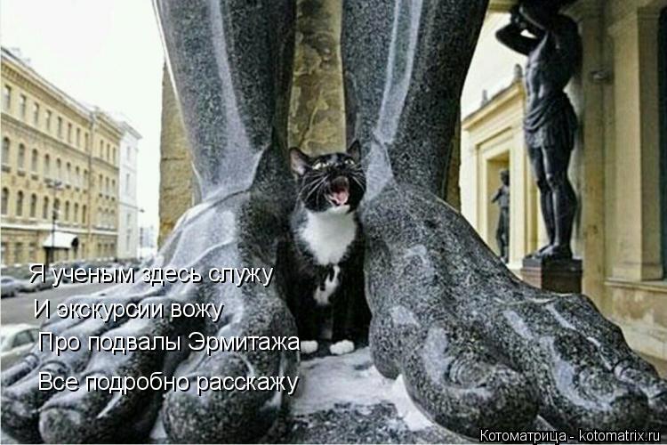 Котоматрица: Я ученым здесь служу И экскурсии вожу Про подвалы Эрмитажа Все подробно расскажу