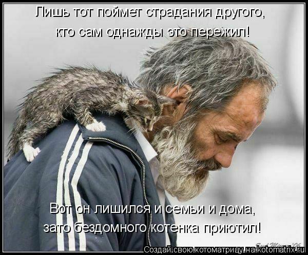 Котоматрица: Лишь тот поймет страдания другого, кто сам однажды это пережил! Вот он лишился и семьи и дома, зато бездомного котенка приютил!