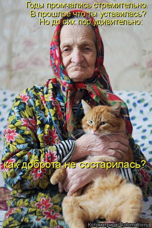 Котоматрица: Годы промчались стремительно. В прошлое что ты уставилась? Но до сих пор удивительно: как доброта не состарилась?