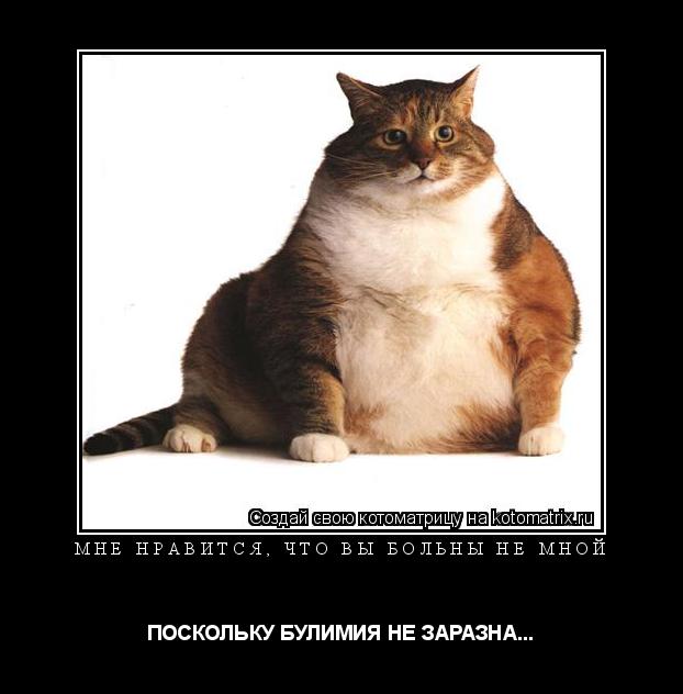 Котоматрица: МНЕ НРАВИТСЯ, ЧТО ВЫ БОЛЬНЫ НЕ МНОЙ ПОСКОЛЬКУ БУЛИМИЯ НЕ ЗАРАЗНА...