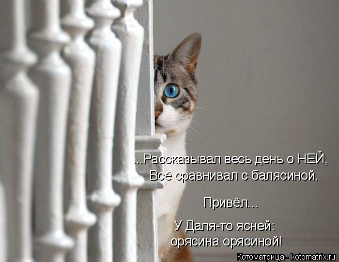 Котоматрица: Всё сравнивал с балясиной. Привёл... У Даля-то ясней: орясина орясиной! ...Рассказывал весь день о НЕЙ,