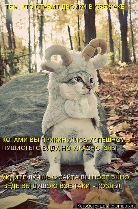 ТЕМ, КТО СТАВИТ ДВОЙКИ В СВЕЖАКЕ КОТАМИ ВЫ ПРИКИНУЛИСЬ УСПЕШНО? ПУШИСТЫ С ВИДУ, НО УЖАСНО ЗЛЫ. ВЕДЬ ... Котоматрица: ТЕМ, КТО СТАВИТ ДВОЙКИ В СВЕЖАКЕ КОТАМИ ВЫ ПРИКИНУЛИСЬ УСПЕШНО? ПУШИСТЫ С ВИДУ, НО УЖАСНО ЗЛЫ. ВЕДЬ ВЫ ДУШОЮ ВСЕ-ТАКИ - КОЗЛЫ! УЙДИТЕ ЛУЧШЕ С