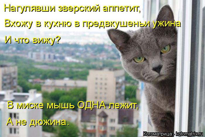 Нагулявши зверский аппетит, Вхожу в кухню в предвкушеньи ужина И что вижу? В миске мышь ОДНА лежит, А... Котоматрица: Нагулявши зверский аппетит, Вхожу в кухню в предвкушеньи ужина И что вижу? В миске мышь ОДНА лежит, А не дюжина.
