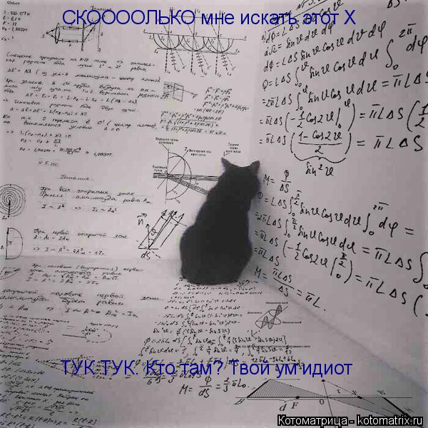 Котоматрица: СКООООЛЬКО мне искать этот X ТУК ТУК. Кто там? Твой ум идиот