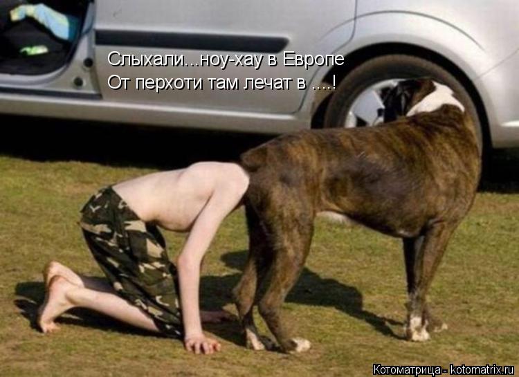 Котоматрица: Слыхали...ноу-хау в Европе От перхоти там лечат в ....!