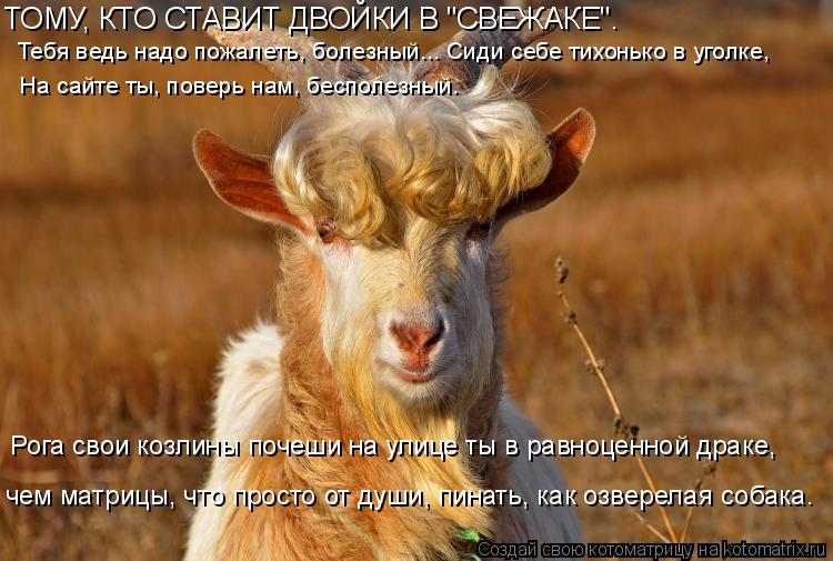 Котоматрица: ТОМУ, КТО СТАВИТ ДВОЙКИ В "СВЕЖАКЕ". Тебя ведь надо пожалеть, болезный... Сиди себе тихонько в уголке,  На сайте ты, поверь нам, бесполезный. чем