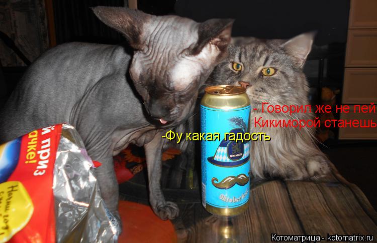 Котоматрица: -Фу какая гадость - Говорил же не пей Кикиморой станешь