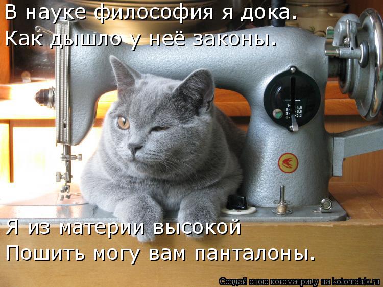 Котоматрица: В науке философия я дока. Как дышло у неё законы. Я из материи высокой Пошить могу вам панталоны.