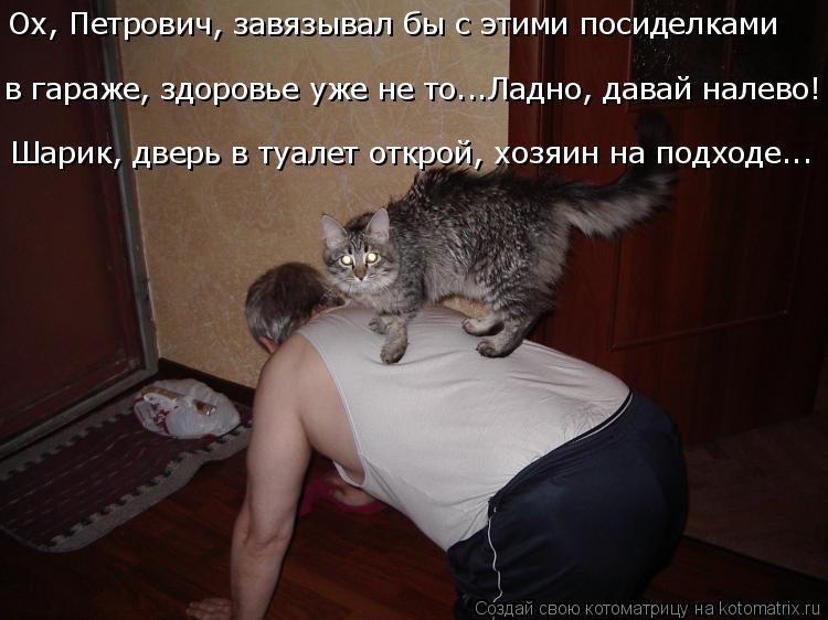 Котоматрица: в гараже, здоровье уже не то...Ладно, давай налево! Шарик, дверь в туалет открой, хозяин на подходе... Ох, Петрович, завязывал бы с этими посидел