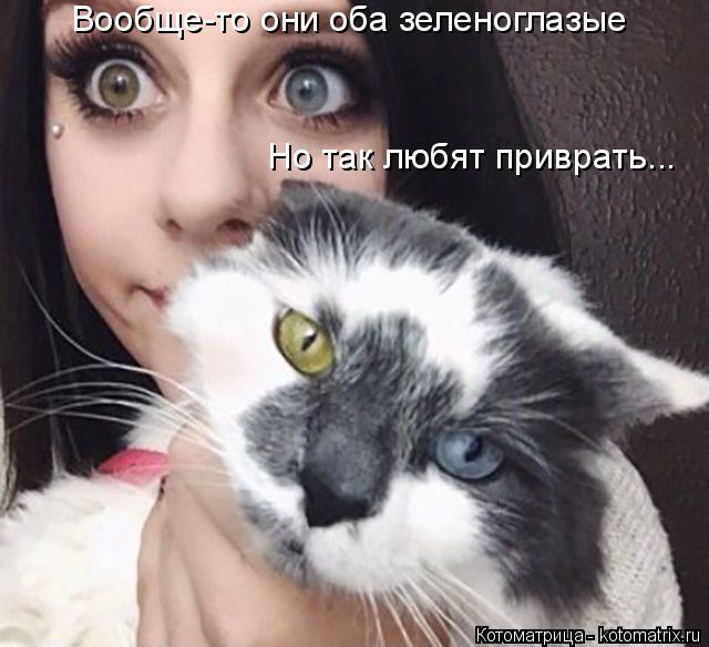 Котоматрица: Вообще-то они оба зеленоглазые Но так любят приврать...
