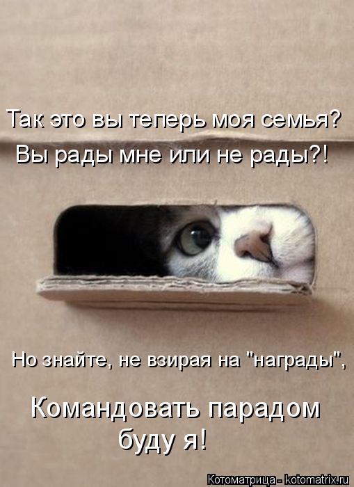 Котоматрица: Так это вы теперь моя семья? Вы рады мне или не рады?! Но знайте, не взирая на "награды", Командовать парадом буду я!