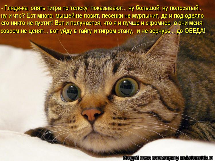 - Гляди-ка, опять тигра по телеку показывают... ну большой, ну полосатый... ну и что? Ест много, мы... Котоматрица: - Гляди-ка, опять тигра по телеку показывают... ну большой, ну полосатый... ну и что? Ест много, мышей не ловит, песенки не мурлычит, да и под оде