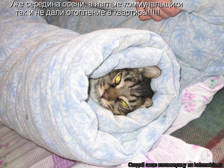 Котоматрица: Уже середина осени, а наглые коммунальщики так и не дали отопление в квартиры!!!!!
