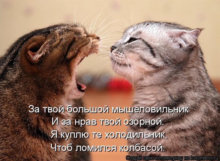 Котоматрица: За твой большой мышеловильник И за нрав твой озорной. Я куплю те холодильник, Чтоб ломился колбасой.