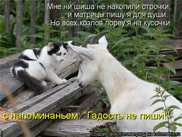 Котоматрица: Мне ни шиша не накопили строчки,  и матрицы пишу я для души. Но всех козлов порву я на кусочки с напоминаньем: "Гадость не пиши!"