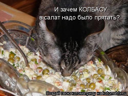 Котоматрица: И зачем КОЛБАСУ в салат надо было прятать?