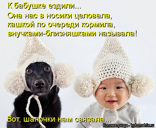 Котоматрица: К бабушке ездили... Она нас в носики целовала,  кашкой по очереди кормила, внучками-близняшками называла! Вот, шапочки нам связала...