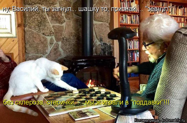 Котоматрица: ну, Василий, ты загнул... шашку то, признай,... "зевнул" без склероза, старички, ... мы ж играли в "поддавки"!!!