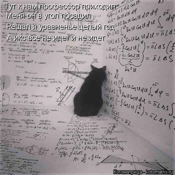 Котоматрица: Тут к нам профессор приходил Меня он в угол посадил Решал я уравненье целый год А икс все не идет и не идет