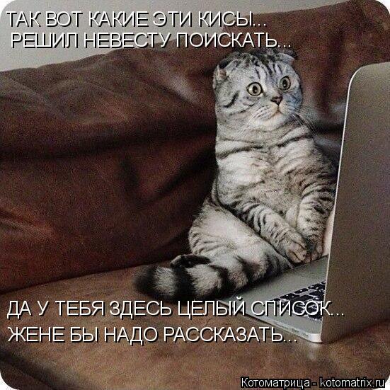Котоматрица: ТАК ВОТ КАКИЕ ЭТИ КИСЫ... ДА У ТЕБЯ ЗДЕСЬ ЦЕЛЫЙ СПИСОК... ЖЕНЕ БЫ НАДО РАССКАЗАТЬ... РЕШИЛ НЕВЕСТУ ПОИСКАТЬ...