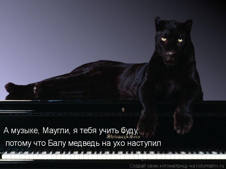Котоматрица: потому что Балу медведь на ухо наступил А музыке, Маугли, я тебя учить буду,