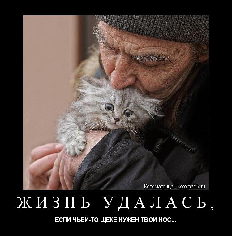 Котоматрица: ЖИЗНЬ УДАЛАСЬ,  ЕСЛИ ЧЬЕЙ-ТО ЩЕКЕ НУЖЕН ТВОЙ НОС...