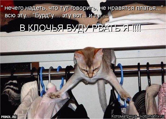 Котоматрица: " нечего надеть, что тут говорить, не нравятся платья..." всю эту... "Бурд"у.... эту вот... и ту..... В КЛОЧЬЯ БУДУ РВАТЬ Я !!!!