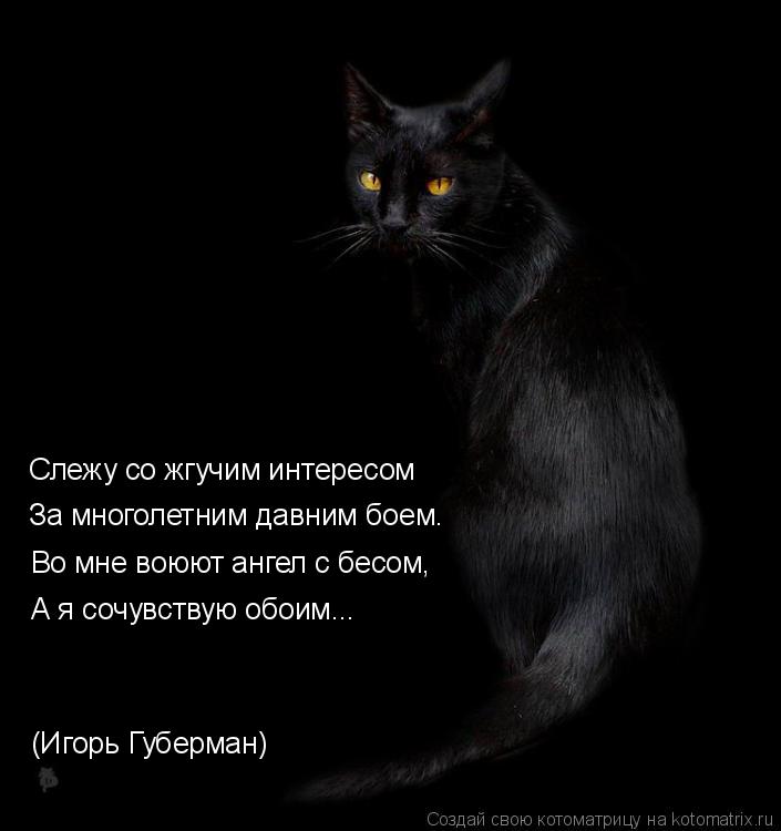 Котоматрица: Слежу со жгучим интересом За многолетним давним боем. Во мне воюют ангел с бесом, А я сочувствую обоим... (Игорь Губерман)