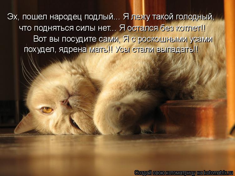 Котоматрица: Эх, пошел народец подлый... Я лежу такой голодный, что подняться силы нет... Я остался без котлет!! Вот вы посудите сами, Я с роскошными усами по