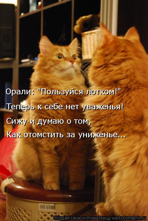 Котоматрица: Орали: "Пользуйся лотком!" Теперь к себе нет уваженья! Сижу и думаю о том, Как отомстить за униженье...