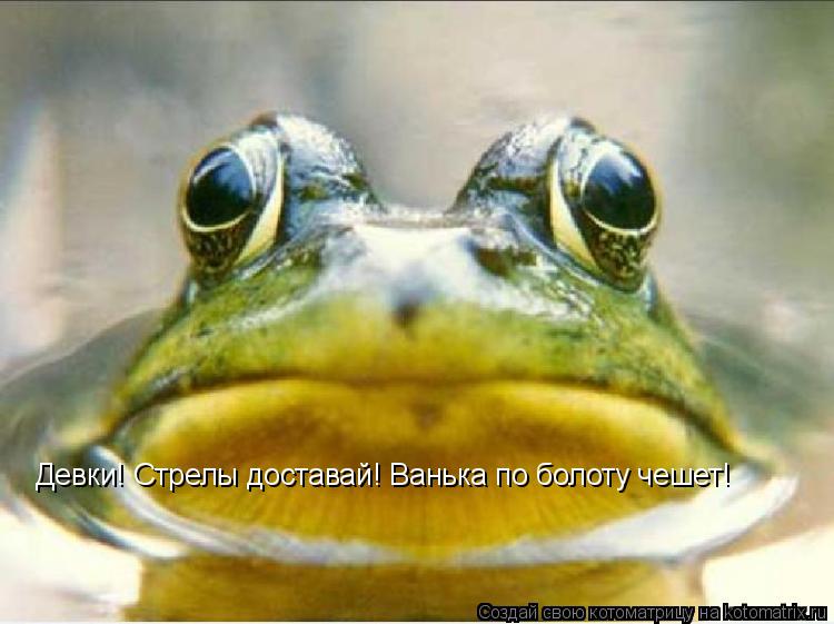 Котоматрица: Девки! Стрелы доставай! Ванька по болоту чешет!