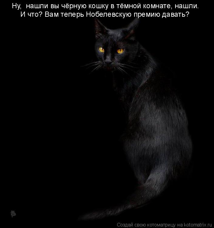 Ну, нашли вы чёрную кошку в тёмной комнате, нашли. И что? Вам теперь Нобелевскую премию давать?... Котоматрица: Ну, нашли вы чёрную кошку в тёмной комнате, нашли. И что? Вам теперь Нобелевскую премию давать?