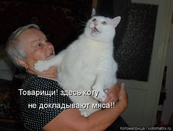 Котоматрица: Товарищи! здесь коту  не докладывают мяса!!