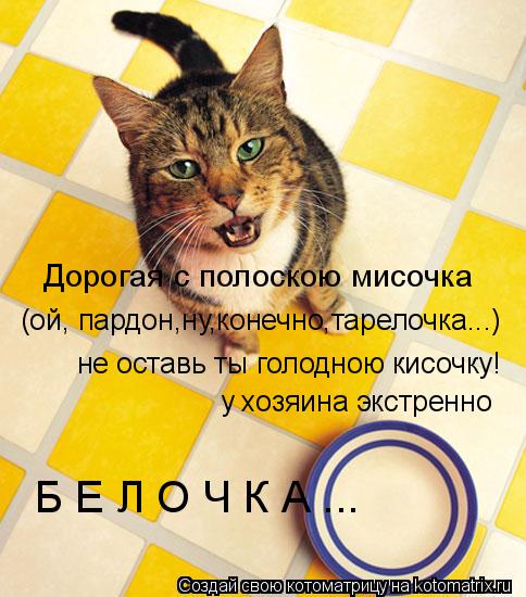 Котоматрица: Дорогая с полоскою мисочка (ой, пардон,ну,конечно,тарелочка...) не оставь ты голодною кисочку! у хозяина экстренно Б Е Л О Ч К А ...