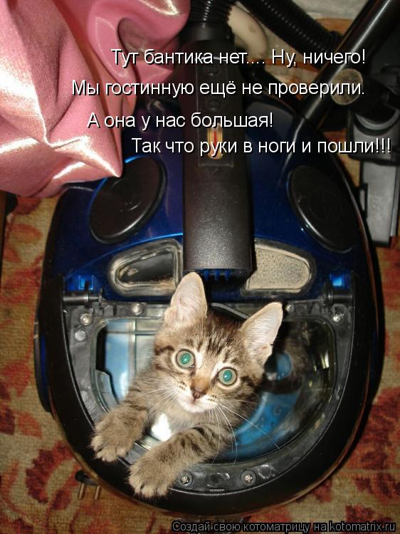 Котоматрица: Тут бантика нет.... Ну, ничего! Мы гостинную ещё не проверили. А она у нас большая! Так что руки в ноги и пошли!!!