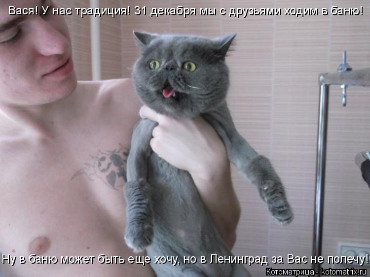 Котоматрица: Вася! У нас традиция! 31 декабря мы с друзьями ходим в баню! Ну в баню может быть еще хочу, но в Ленинград за Вас не полечу!