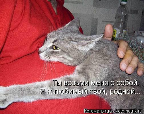 Котоматрица: Ты возьми меня с собой... Я ж любимый твой, родной...