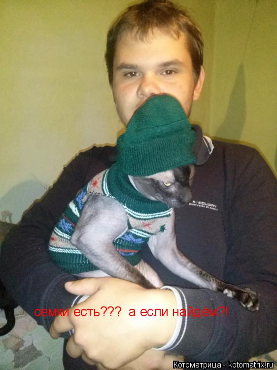 Котоматрица: семки есть???  а если найдём?!