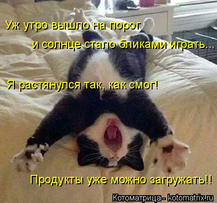 Котоматрица: Уж утро вышло на порог и солнце стало бликами играть... Я растянулся так, как смог! Продукты уже можно загружать!!