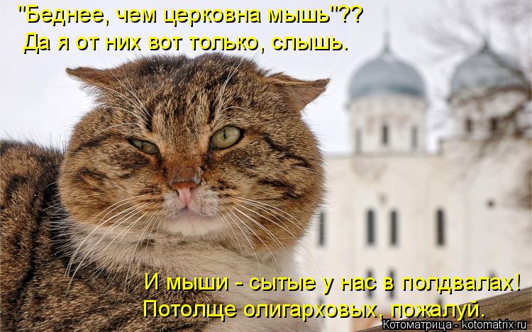 Котоматрица: "Беднее, чем церковна мышь"?? Да я от них вот только, слышь. И мыши - сытые у нас в полдвалах! Потолще олигарховых, пожалуй.