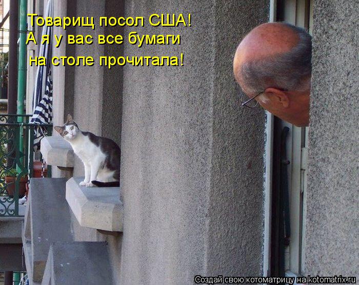 Котоматрица: Товарищ посол США! А я у вас все бумаги на столе прочитала!