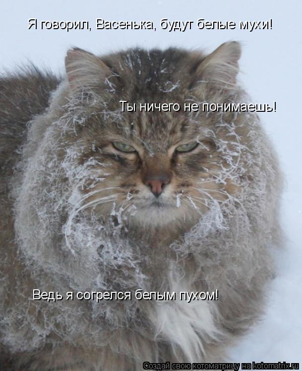 Котоматрица: Я говорил, Васенька, будут белые мухи! Ты ничего не понимаешь! Ведь я согрелся белым пухом!
