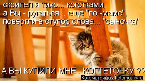 Котоматрица: скрипел я тихо... коготками, а Вы - ругаться... ещё "по -маме", повергли в ступор слова... "сыночка" А ВЫ КУПИЛИ МНЕ ..КОГТЕТОЧКУ ??!!