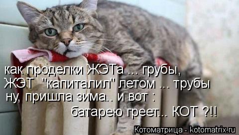 Котоматрица: как проделки ЖЭТа ... грубы, ЖЭТ  "капиталил" летом ... трубы ну, пришла зима.. и вот : батарею греет... КОТ ?!!