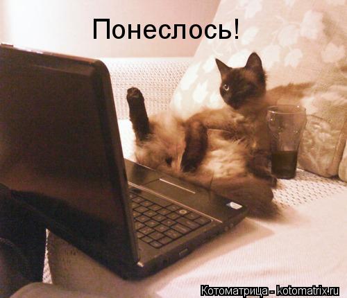 Котоматрица: Понеслось!