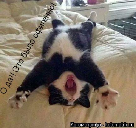 Котоматрица: О да!! Это было офигенно!