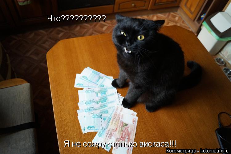 Котоматрица: Что?????????? Я не сожру столько вискаса!!!