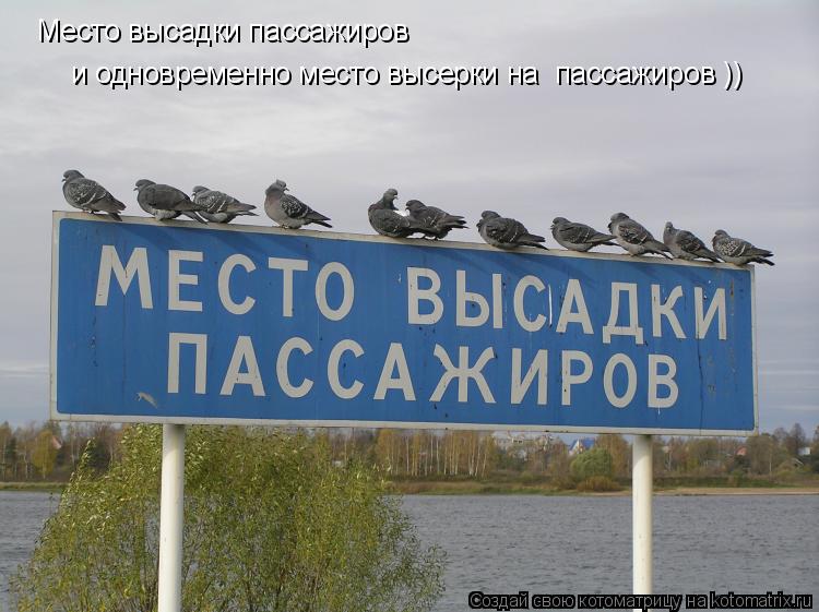 Котоматрица: Место высадки пассажиров и одновременно место высерки на  пассажиров ))