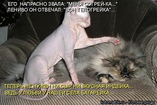 Котоматрица: ЕГО  НАПРАСНО ЗВАЛА: "МЕНЯ СОГРЕЙ-КА..." ЛЕНИВО ОН ОТВЕЧАЛ: "ВОН ТЕЛОГРЕЙКА"... ТЕПЕРЬ НЕ НУЖЕН НИ СЫР, НИ ВКУСНАЯ ИНДЕЙКА... ВЕДЬ У ЛЮБВИ У НАШЕЙ С
